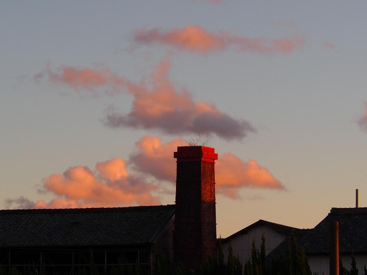 ヒルズハウスセカンド Appartement Tokoname Buitenkant foto